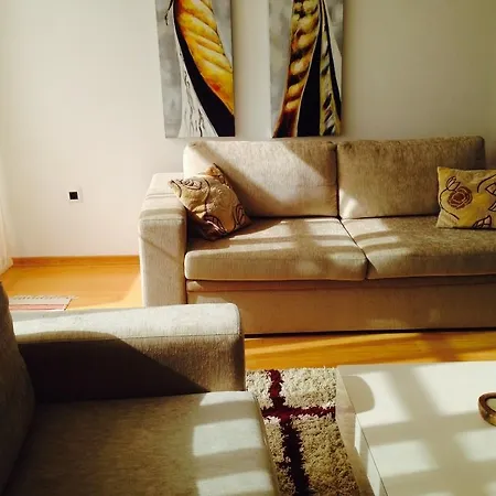Apartment Kovacic *